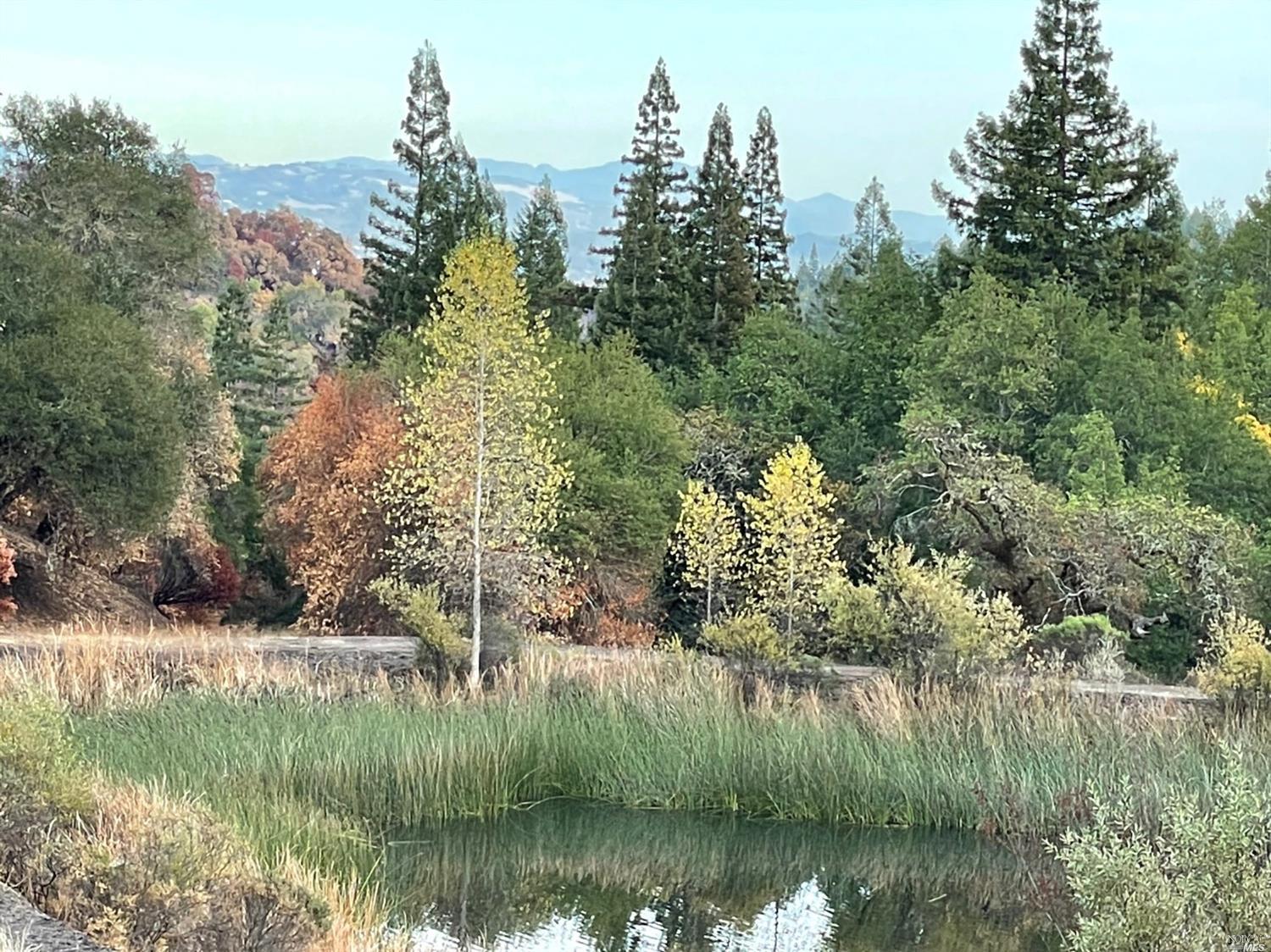 0 Wallace Creek Road Healdsburg CA 95448
