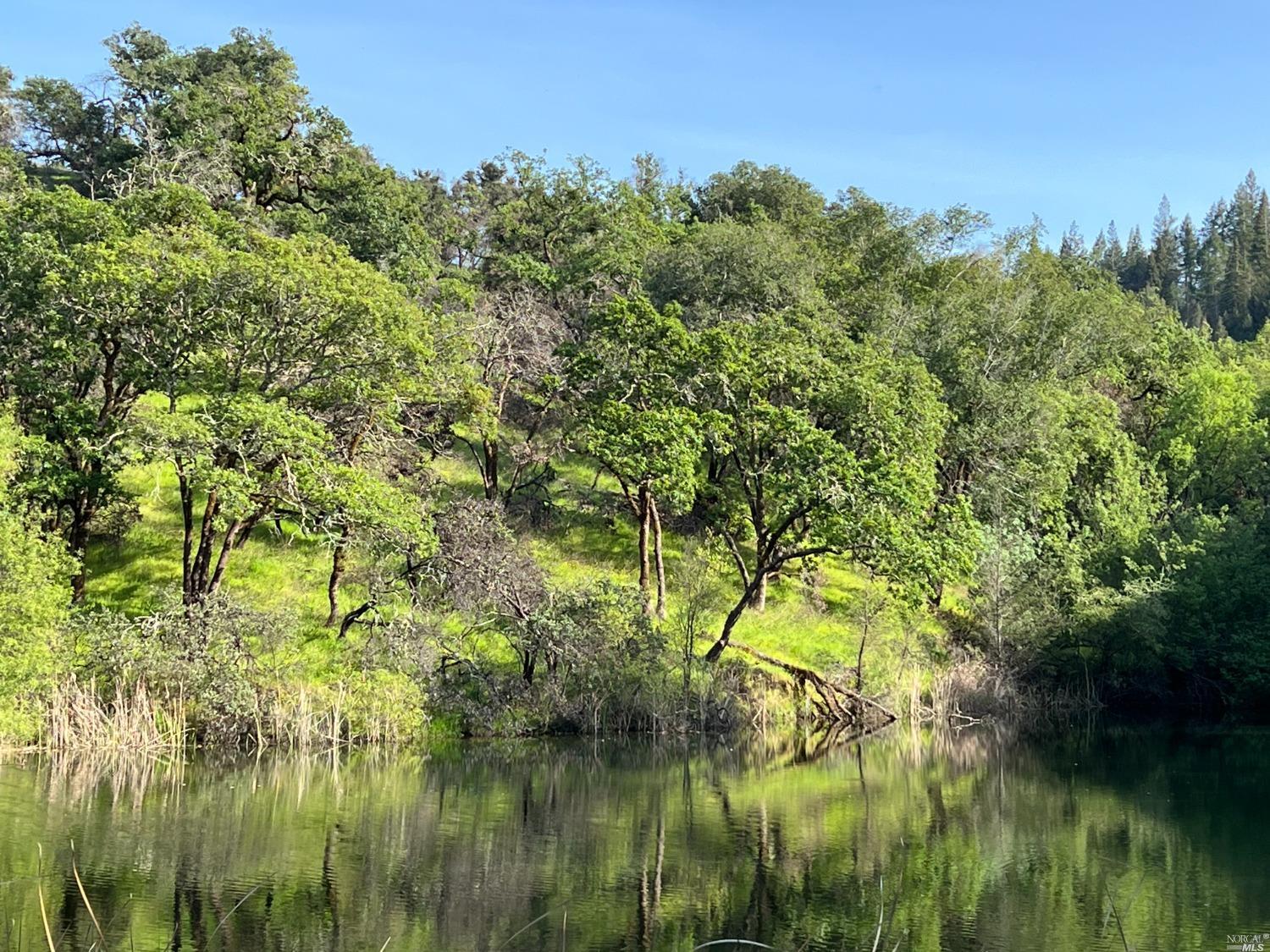 0 Wallace Creek Road Healdsburg CA 95448