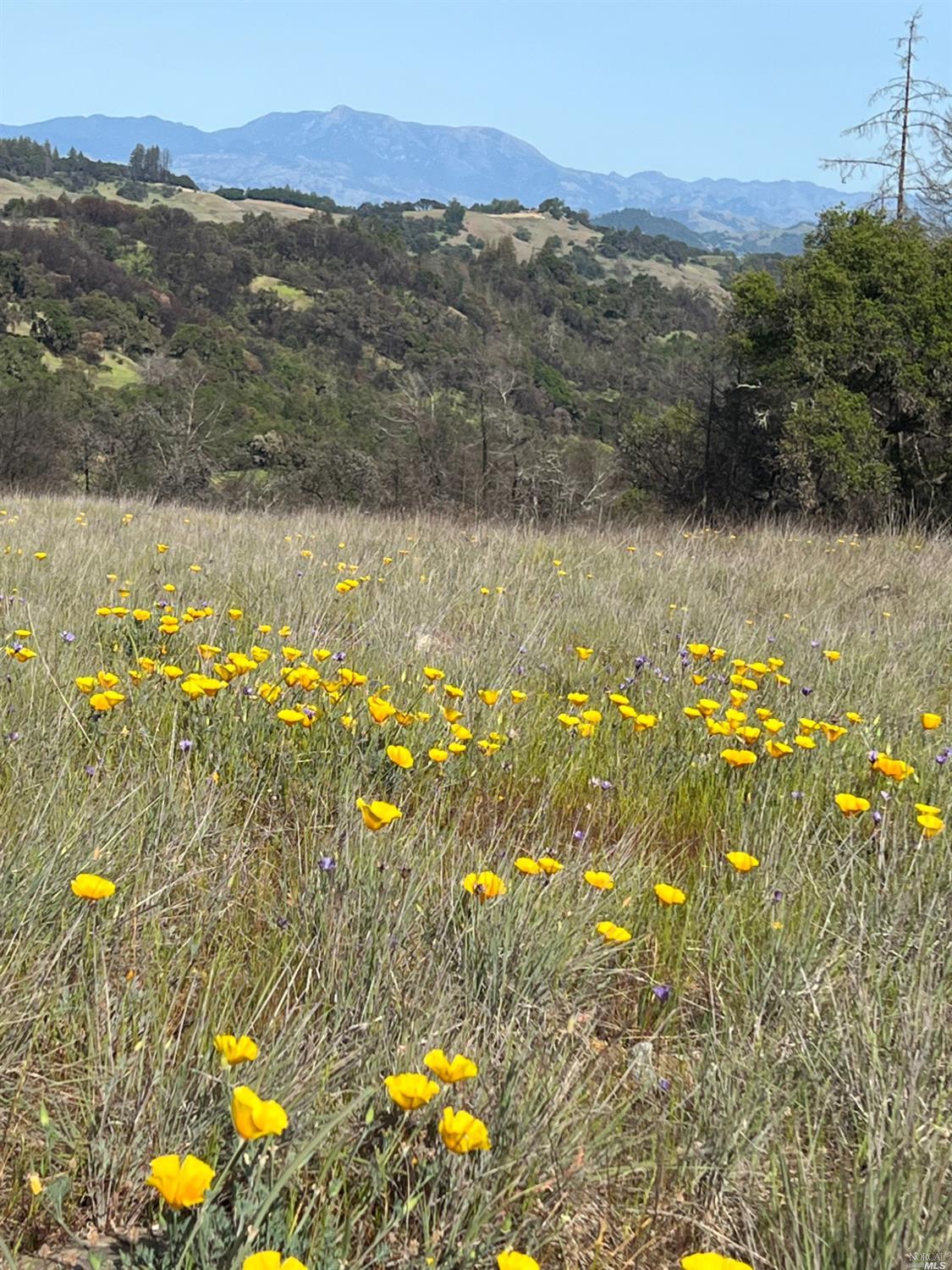 0 Wallace Creek Road Healdsburg CA 95448