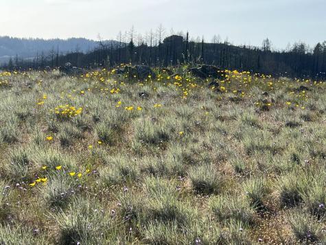 0 Wallace Creek Road Healdsburg CA 95448