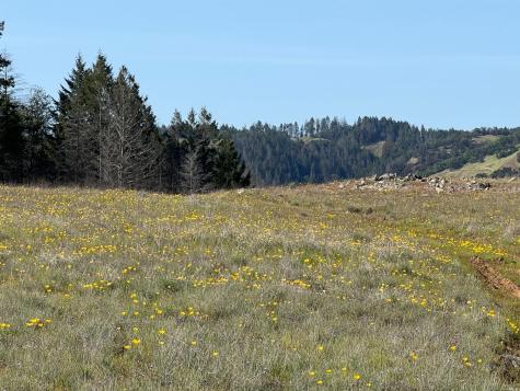 0 Wallace Creek Road Healdsburg CA 95448