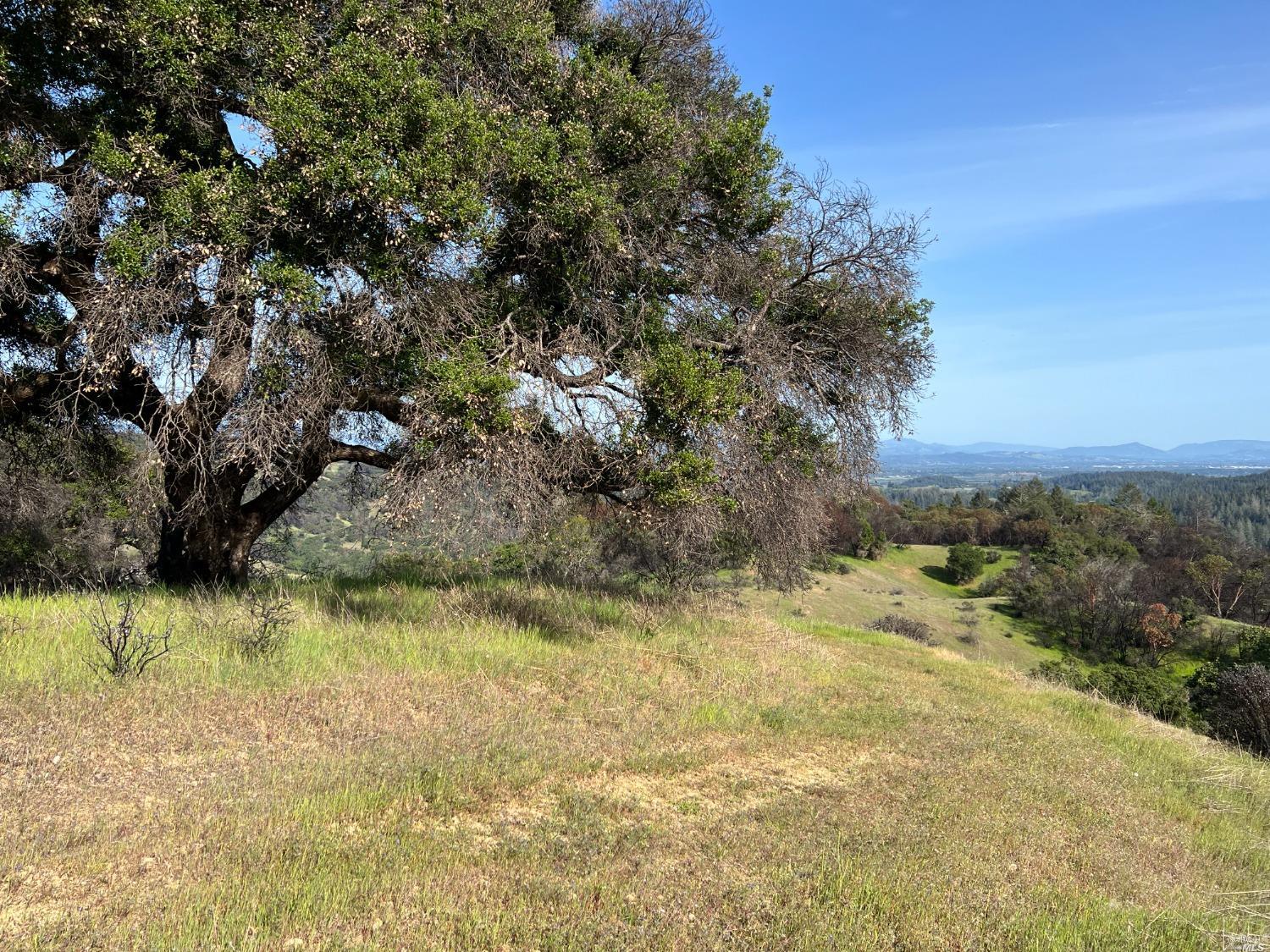 0 Wallace Creek Road Healdsburg CA 95448