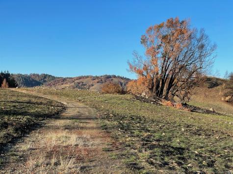 0 Wallace Creek Road Healdsburg CA 95448