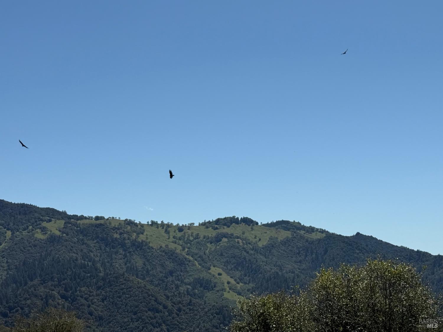 2701 Woodman Peak Road Laytonville CA 95454