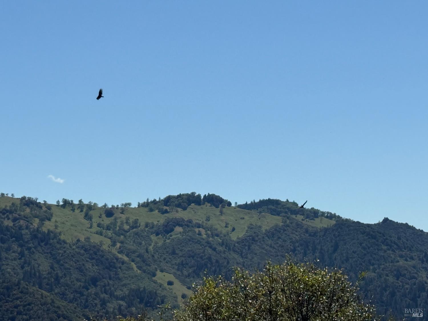 2701 Woodman Peak Road Laytonville CA 95454