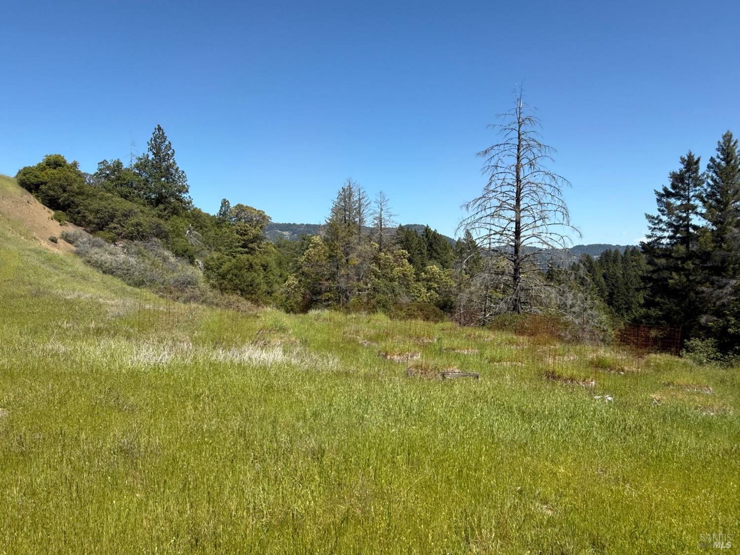 2701 Woodman Peak Road Laytonville CA 95454