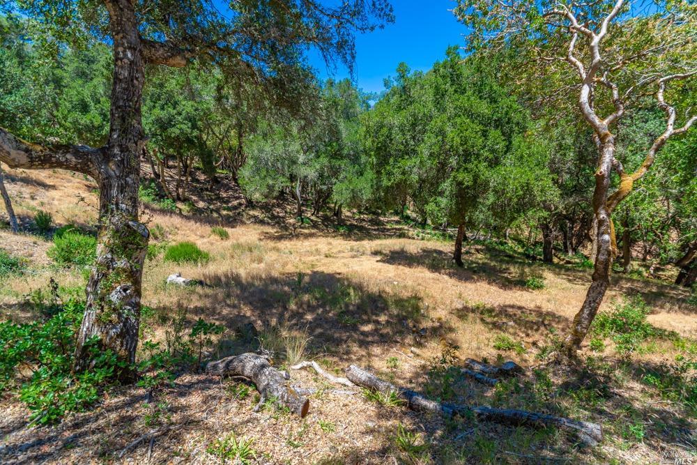 32 Catalpa Court Napa CA 94558