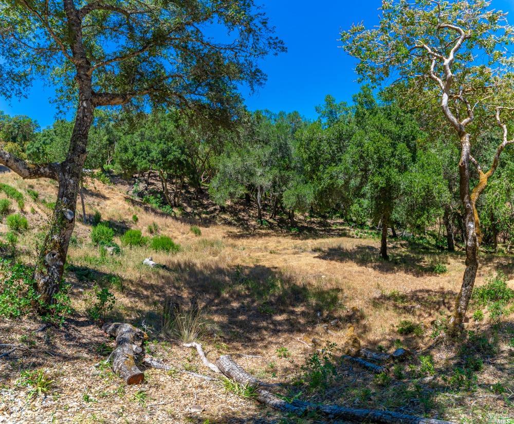 32 Catalpa Court Napa CA 94558