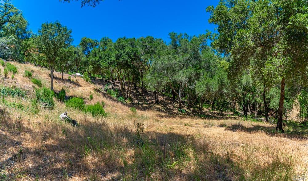 32 Catalpa Court Napa CA 94558