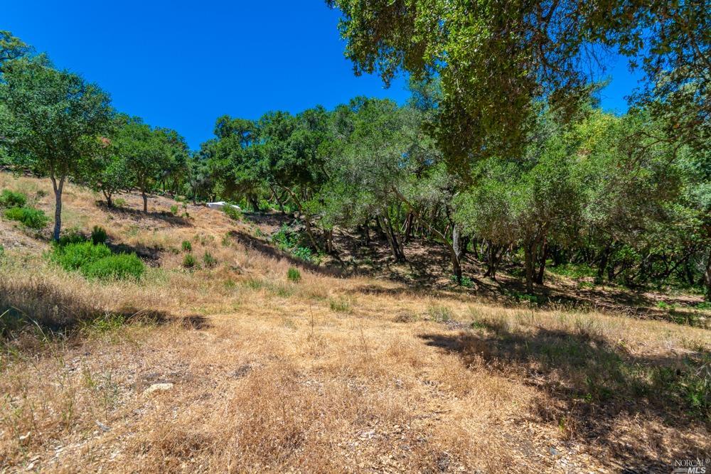 32 Catalpa Court Napa CA 94558