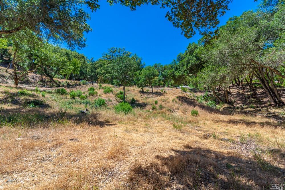 32 Catalpa Court Napa CA 94558
