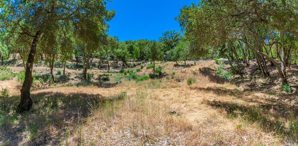 32 Catalpa Court Napa CA 94558