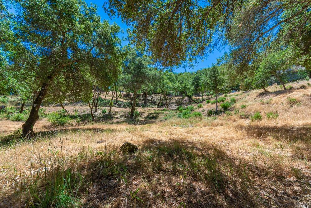 32 Catalpa Court Napa CA 94558