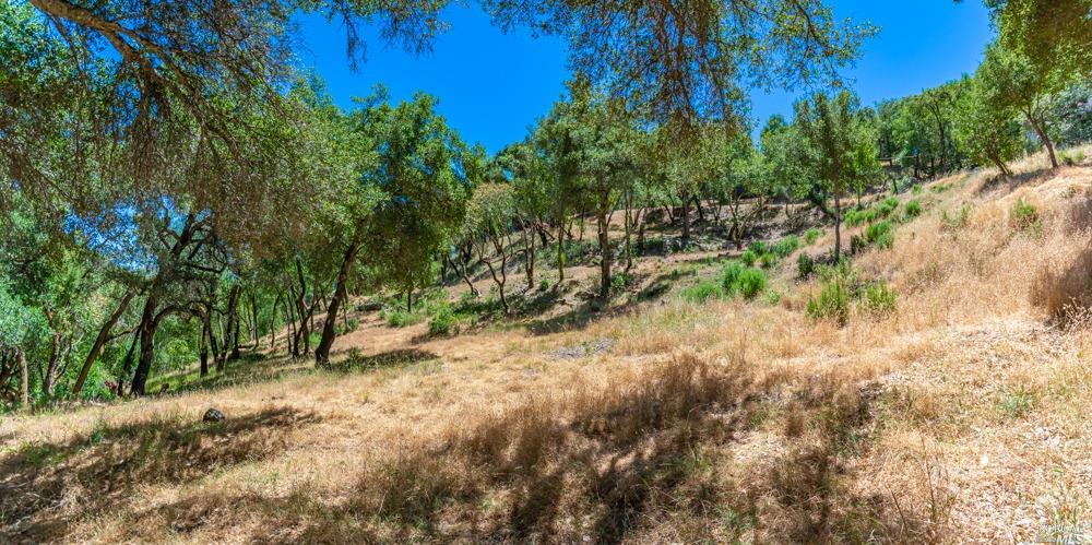 32 Catalpa Court Napa CA 94558