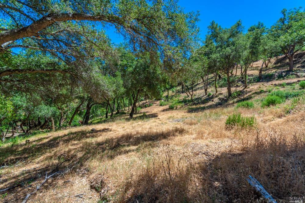 32 Catalpa Court Napa CA 94558
