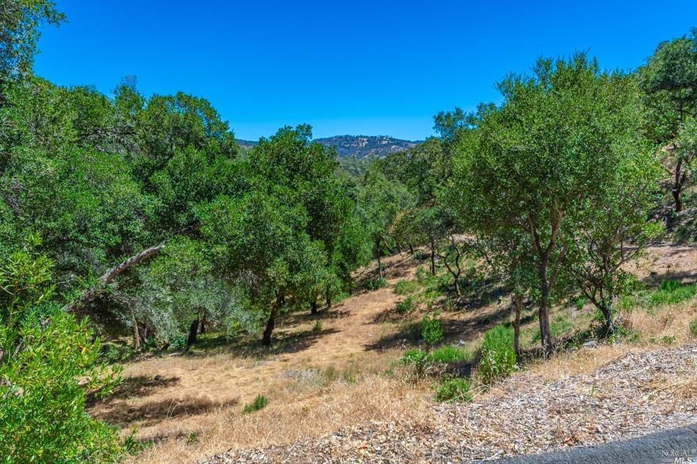 32 Catalpa Court Napa CA 94558