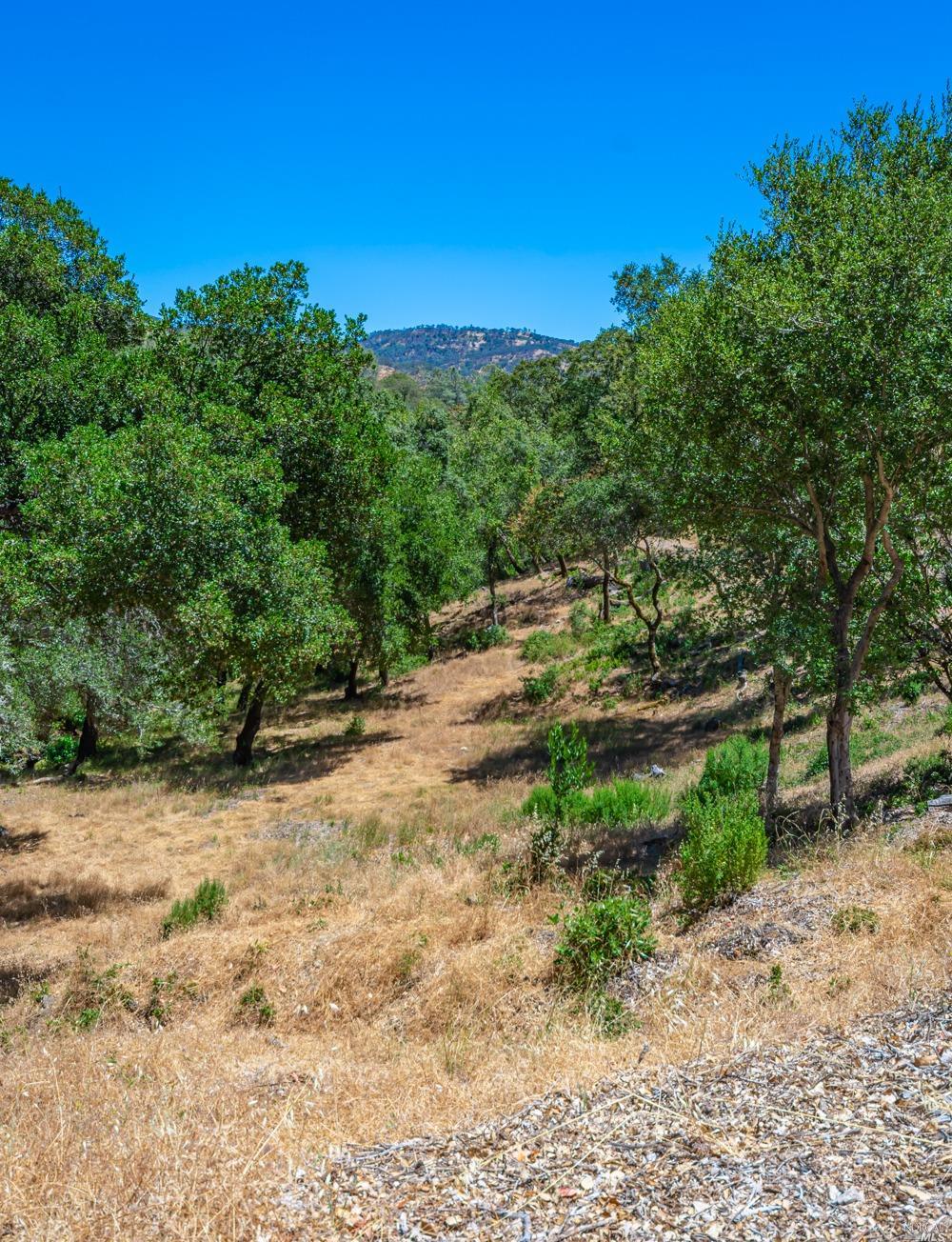32 Catalpa Court Napa CA 94558