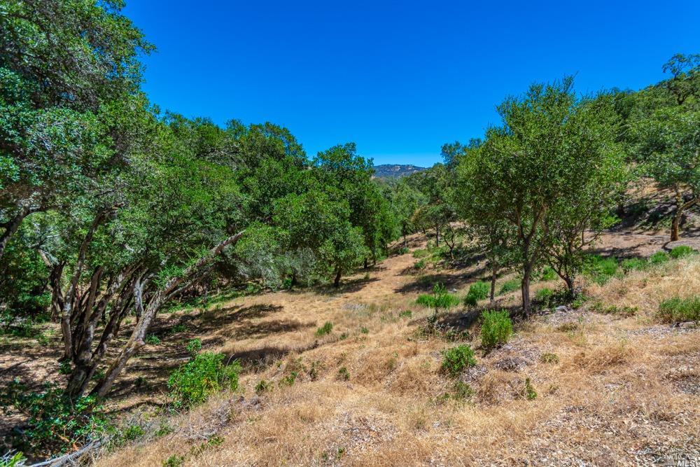 32 Catalpa Court Napa CA 94558