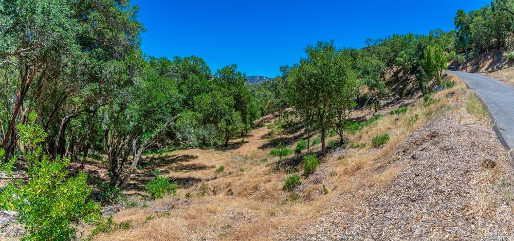 32 Catalpa Court Napa CA 94558
