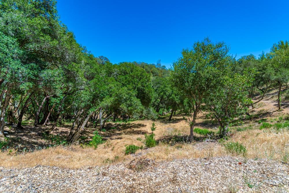 32 Catalpa Court Napa CA 94558