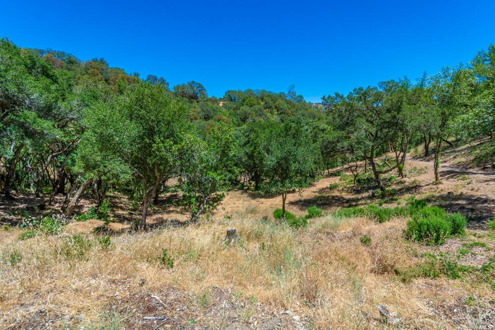 32 Catalpa Court Napa CA 94558