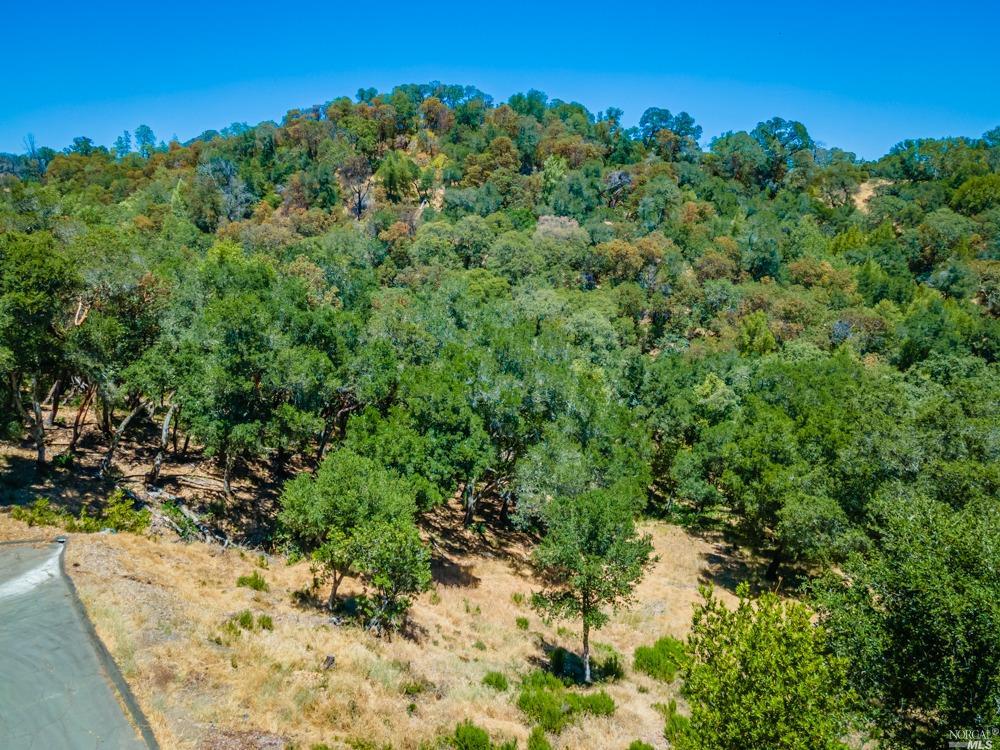 32 Catalpa Court Napa CA 94558