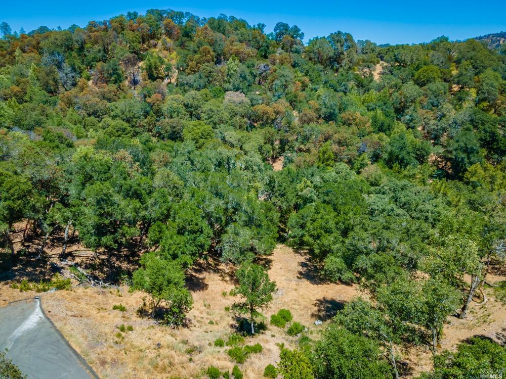 32 Catalpa Court Napa CA 94558