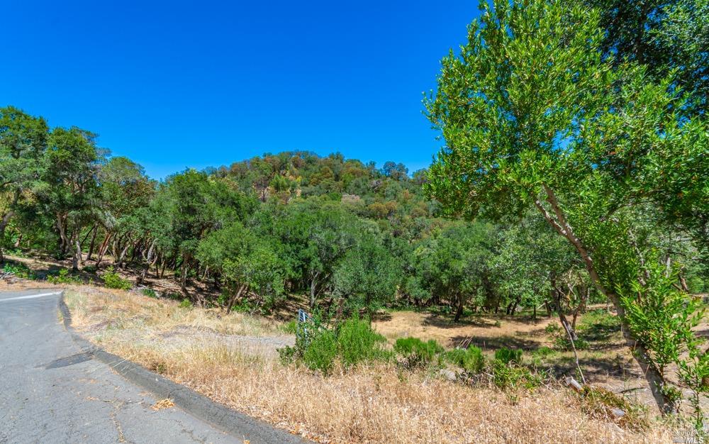 32 Catalpa Court Napa CA 94558