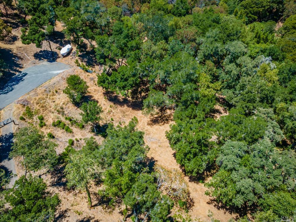 32 Catalpa Court Napa CA 94558