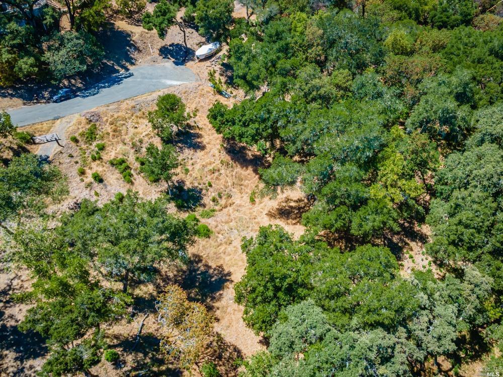32 Catalpa Court Napa CA 94558