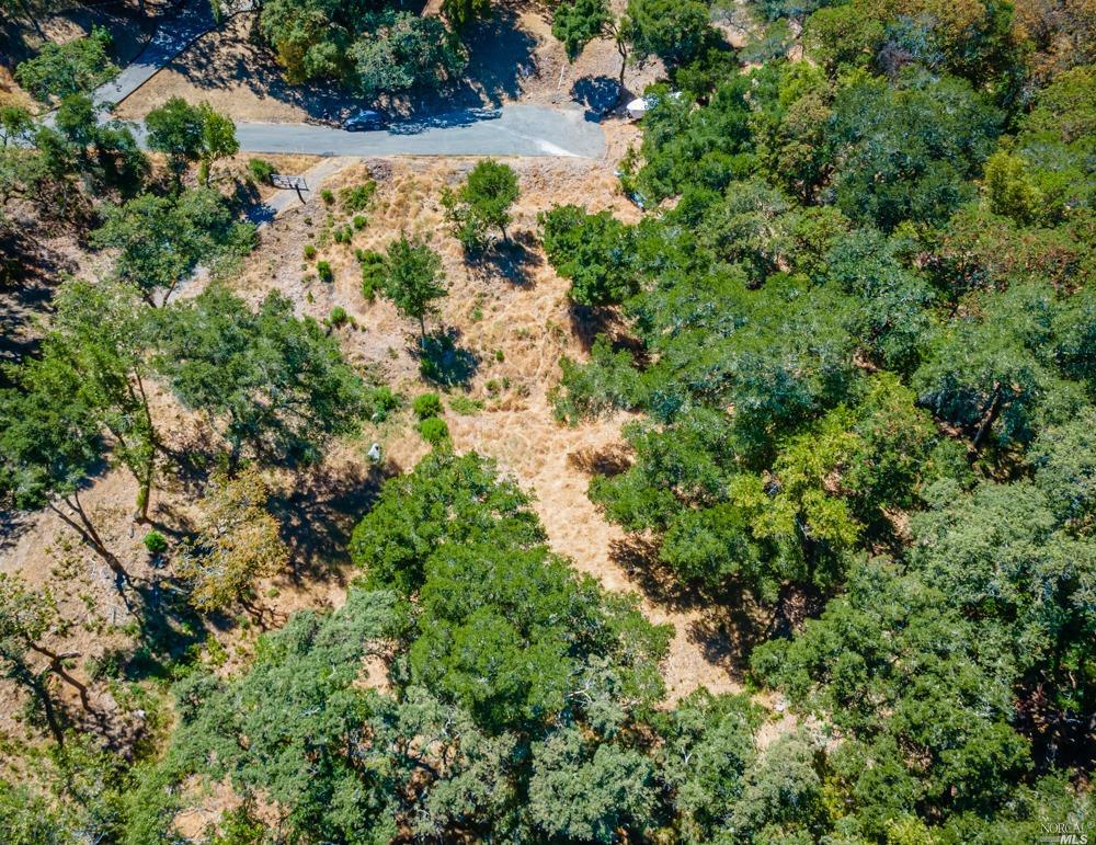 32 Catalpa Court Napa CA 94558