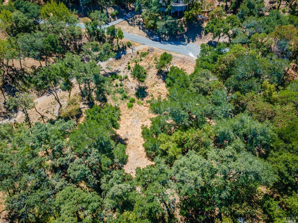 32 Catalpa Court Napa CA 94558