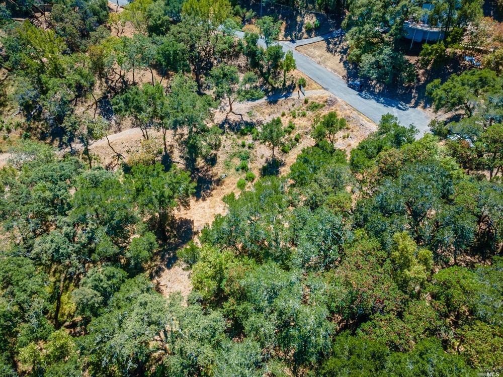 32 Catalpa Court Napa CA 94558