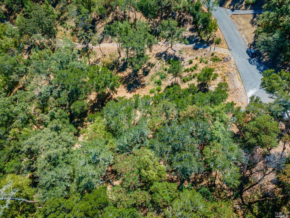 32 Catalpa Court Napa CA 94558