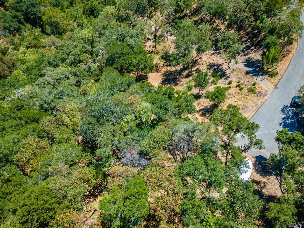 32 Catalpa Court Napa CA 94558