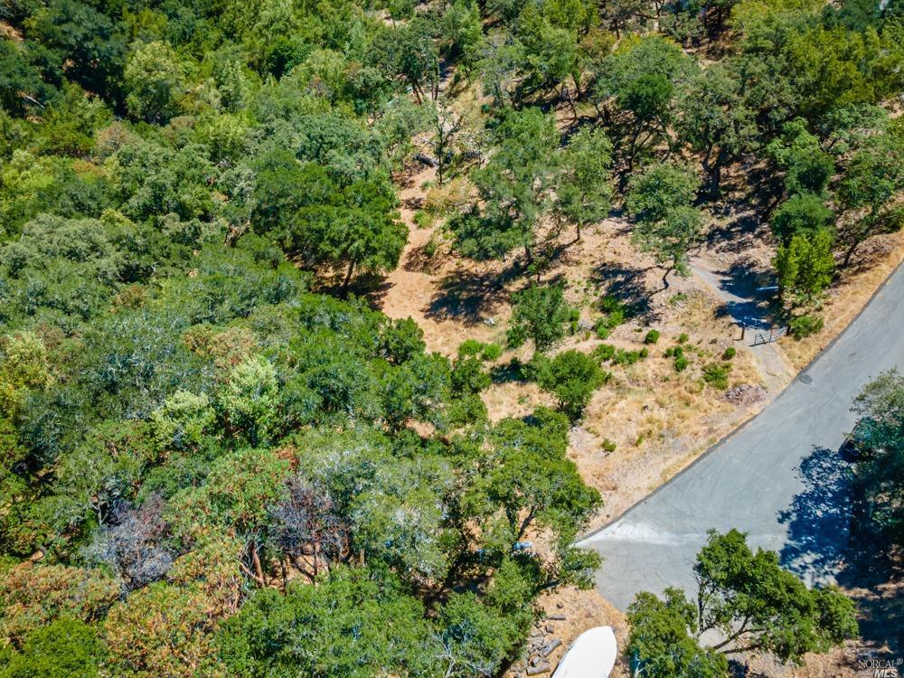 32 Catalpa Court Napa CA 94558
