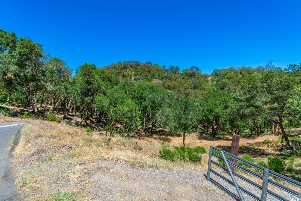 32 Catalpa Court Napa CA 94558