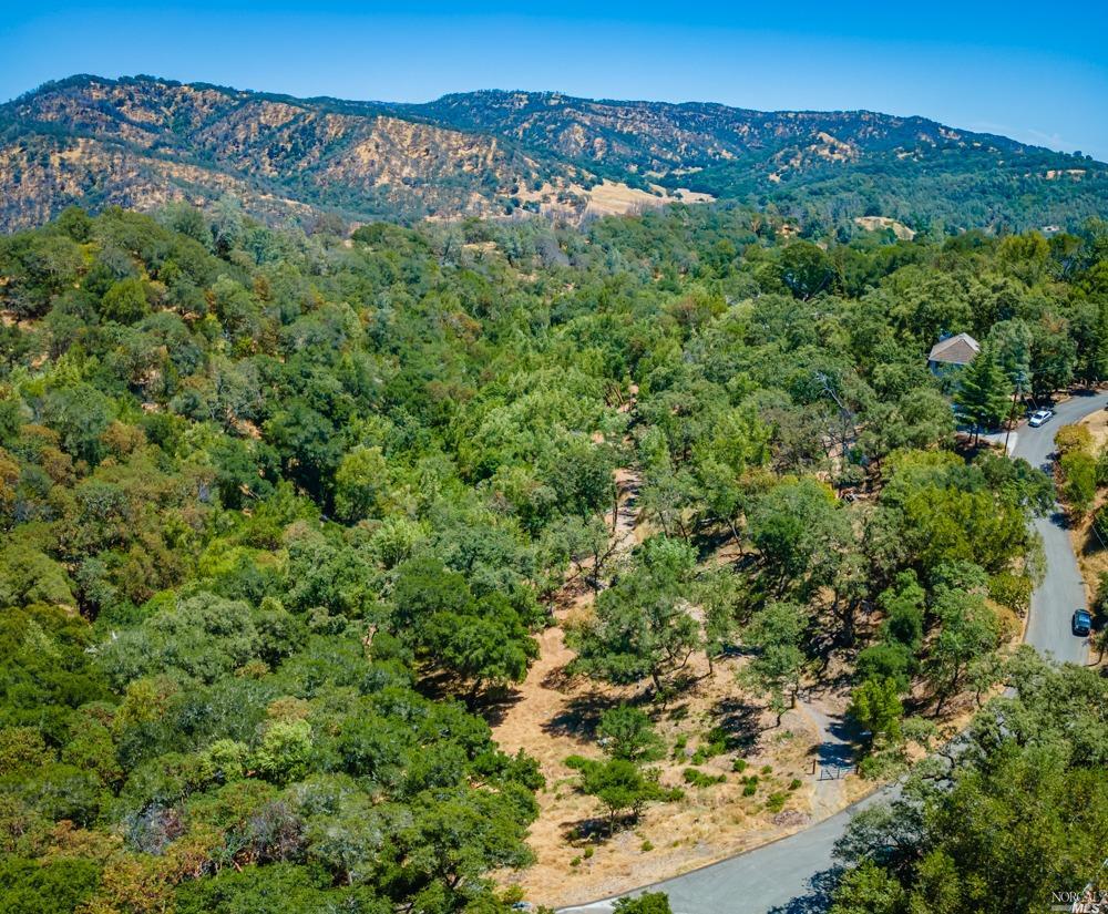 32 Catalpa Court Napa CA 94558
