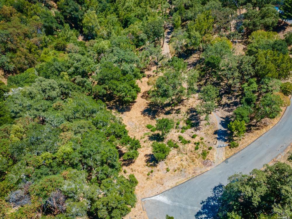 32 Catalpa Court Napa CA 94558