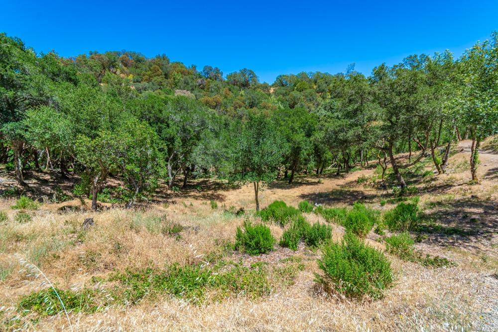 32 Catalpa Court Napa CA 94558