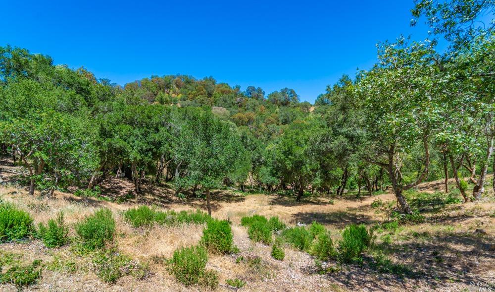32 Catalpa Court Napa CA 94558