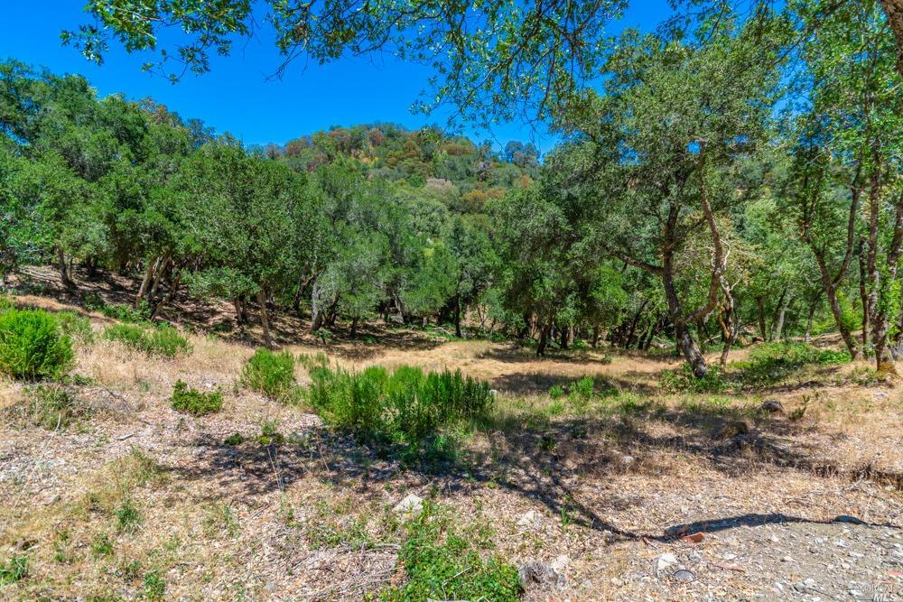 32 Catalpa Court Napa CA 94558