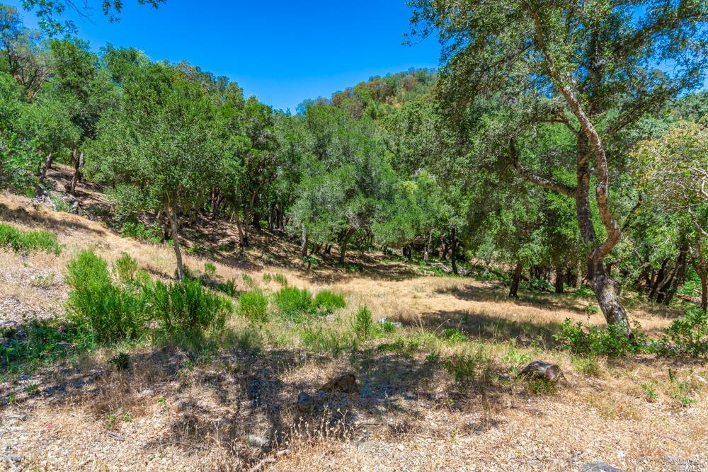 32 Catalpa Court Napa CA 94558