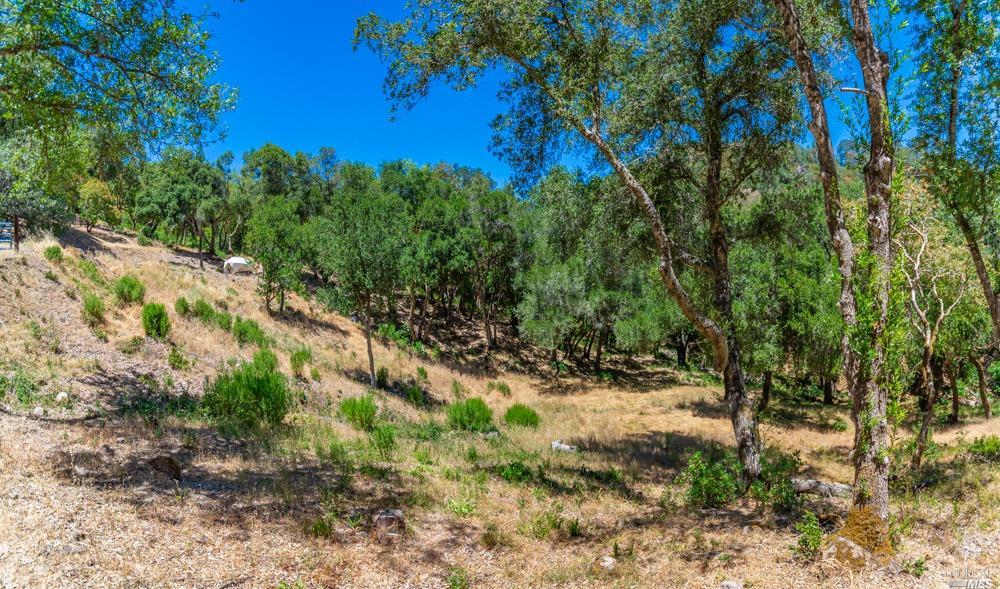 32 Catalpa Court Napa CA 94558