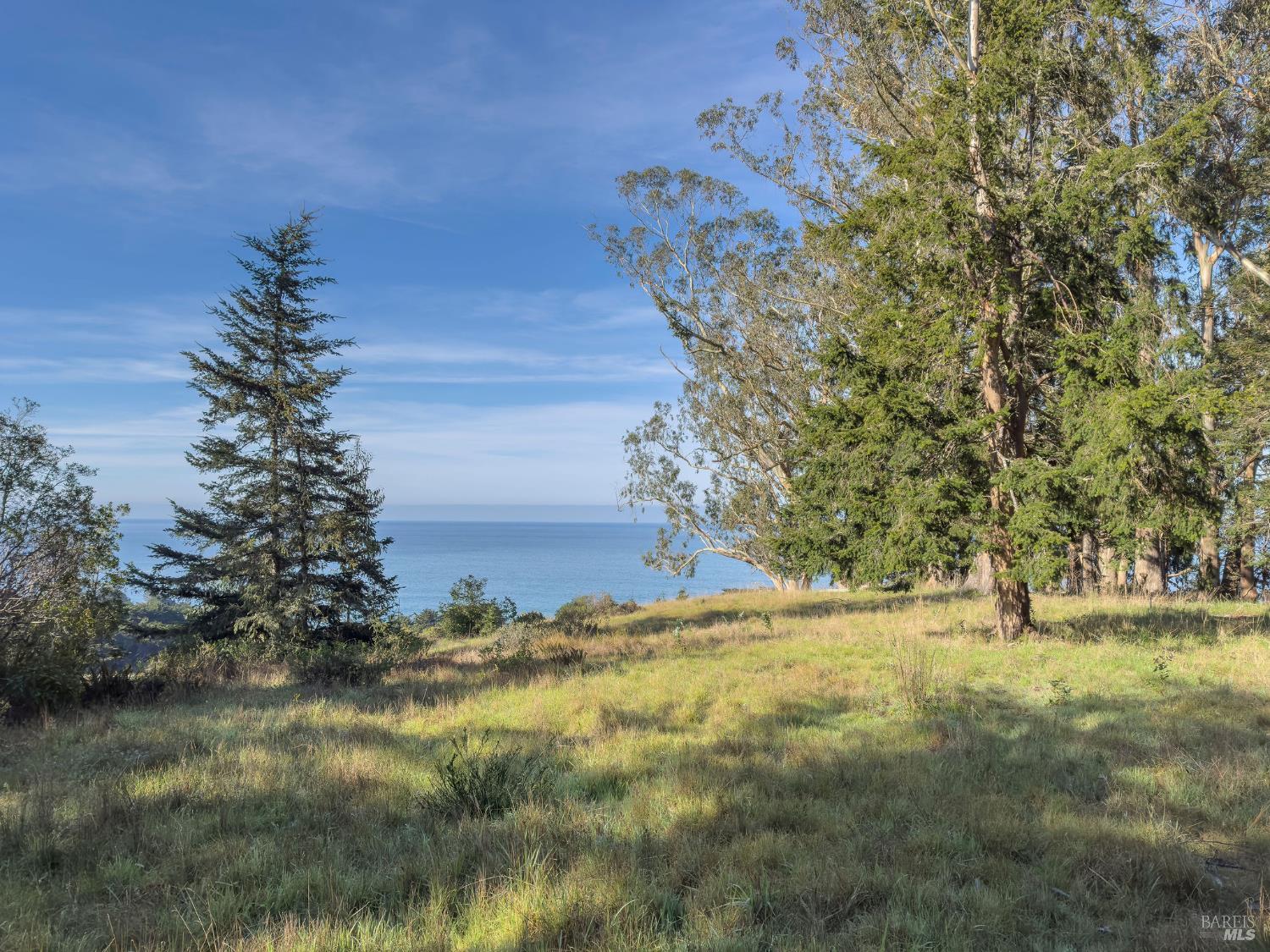 37275 Rams Horn Reach The Sea Ranch CA 95497