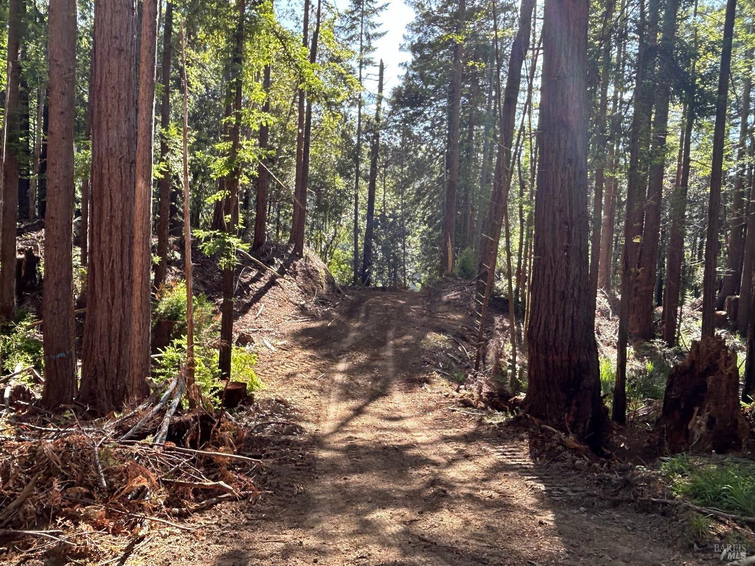 39700 Eureka Hill Road Point Arena CA 95468