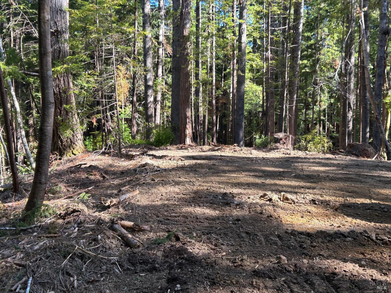 39700 Eureka Hill Road Point Arena CA 95468