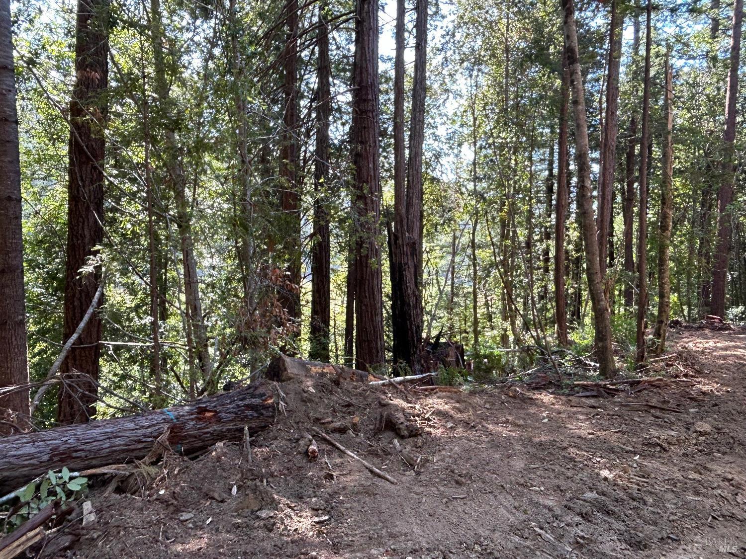 39700 Eureka Hill Road Point Arena CA 95468