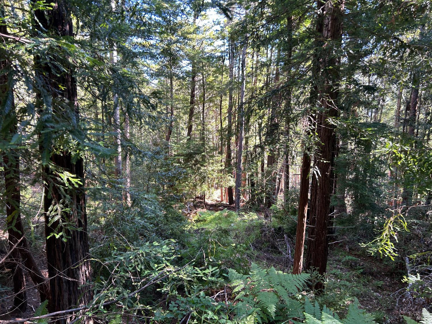 39700 Eureka Hill Road Point Arena CA 95468