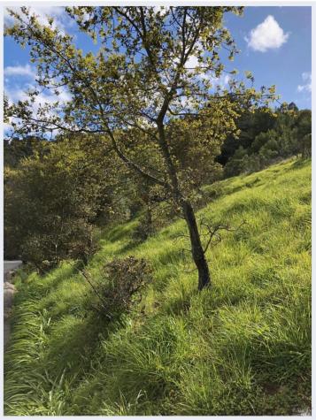 0 Coleman Drive San Rafael CA 94901